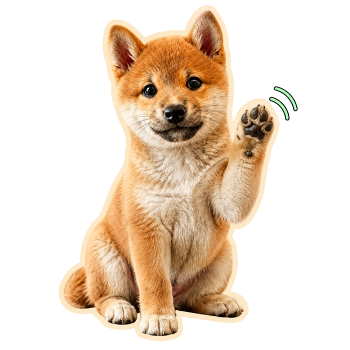 Meeko waving hello