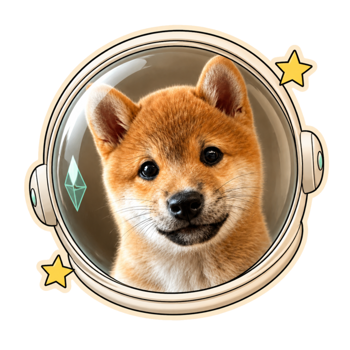 Astronaut Meeko